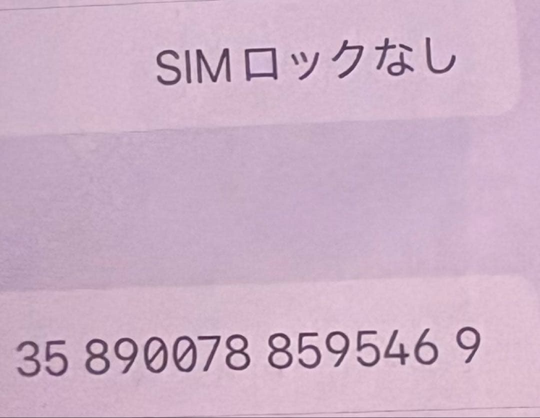 【ジャンク】13 Pro Max 　動作問題なし　24時間限定値下げ最終値下げ