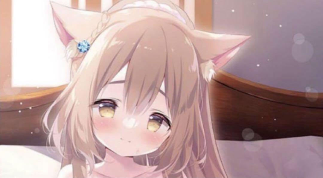 きゃべつそふと ジュエリーナイツアルカディア メア B2タペストリー 未開封