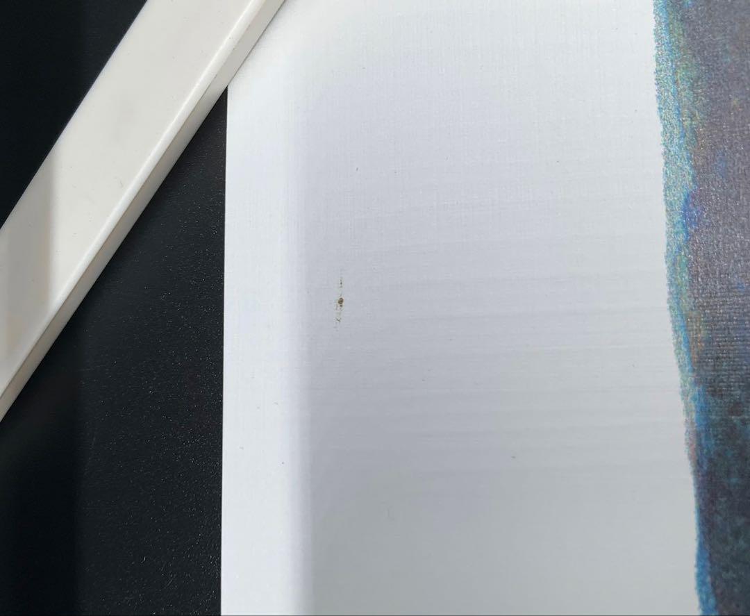 【訳あり】愛しのベラ マルク シャガール リトグラフ 500部 限定 証明書有り