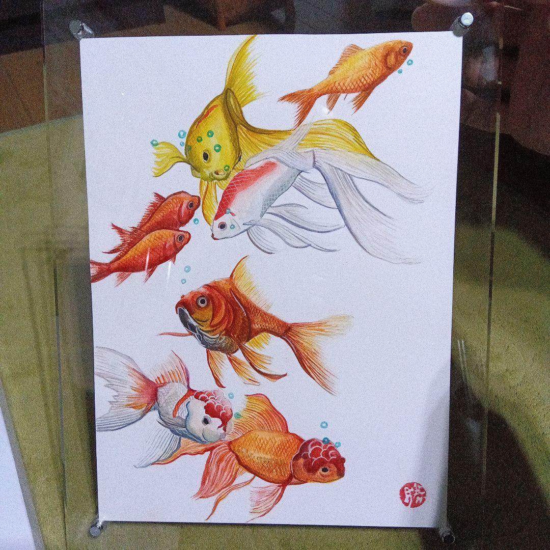 田渕智也 「金魚」 日本画4号 - 一枚の繪オンラインショップ