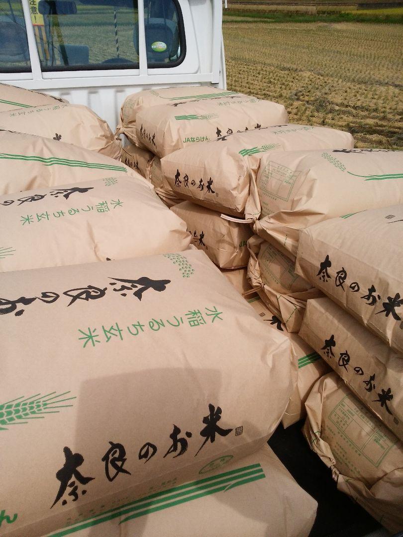 農家のお米玄米　10キロ　令和6年産 ヒノヒカリ