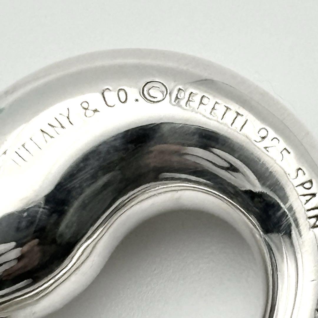 Tiffany&Co. ティファニー エターナルサークル ネックレス sv925