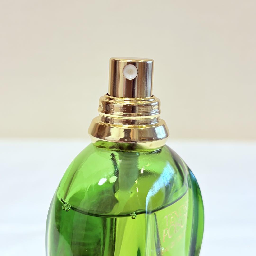 Dior ディオール　タンドゥル プワゾン オードトワレ　50ml