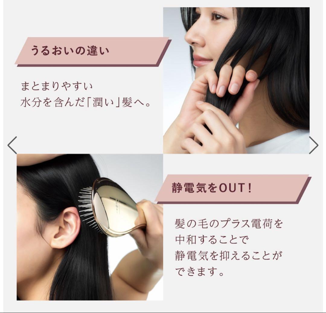 WAVEWAVE EMS Brush Air ピンクゴールド　電気ブラシ