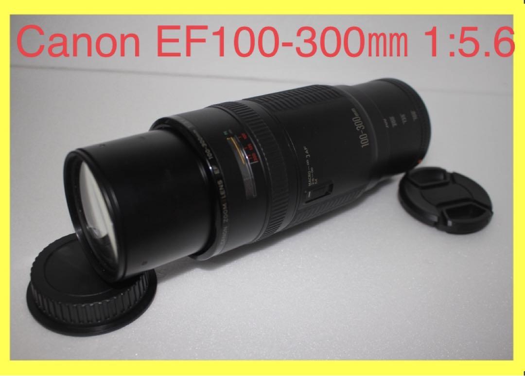 日本に 超望遠レンズ☆迫力300㎜☆キャノン Canon Canon EF100-300