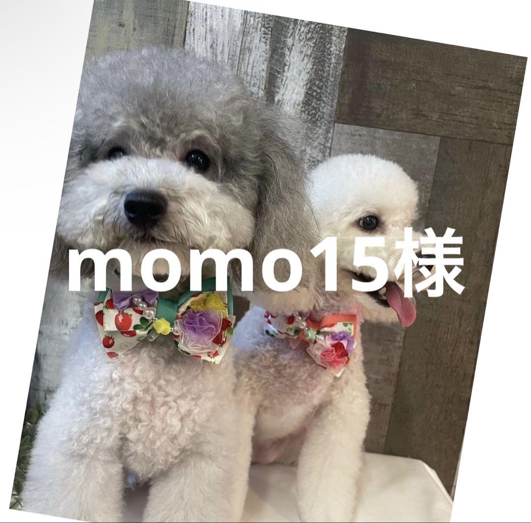 専用