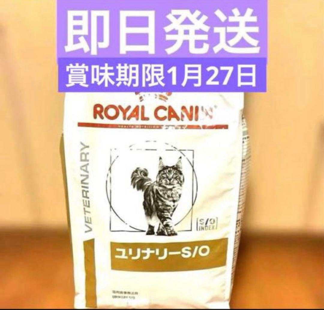 ロイヤルカナン ユリナリー-S/O 4kg