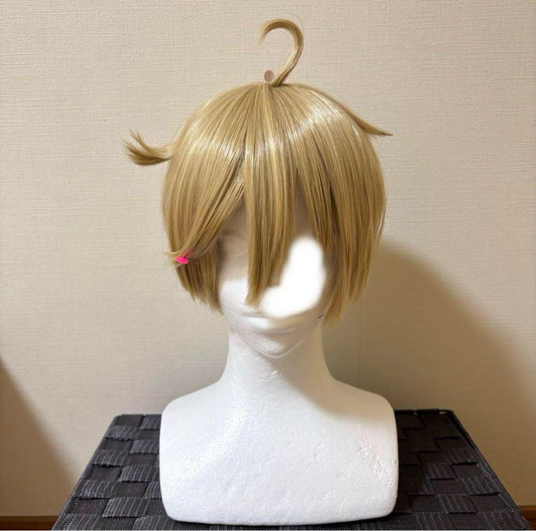 あんさんぶるスターズ! 真白友也 コスプレウィッグ - snowshop雪乃屋