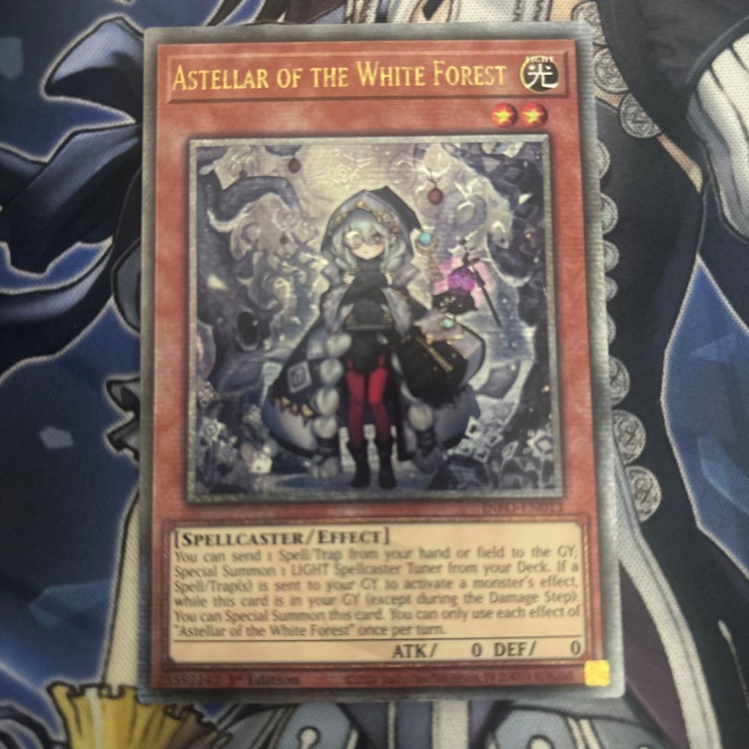 白き森のアステーリャ EU 英語 25thシークレット目立った傷や汚れなし