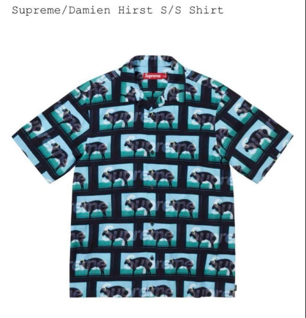 Supreme x Damien Hirst S/S Shirt 
