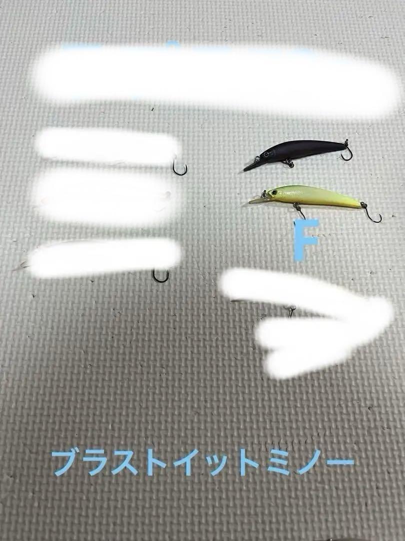 エリアミノーイング　ルアーまとめ売り　ルアーパッグ付き　計53点 新品付き
