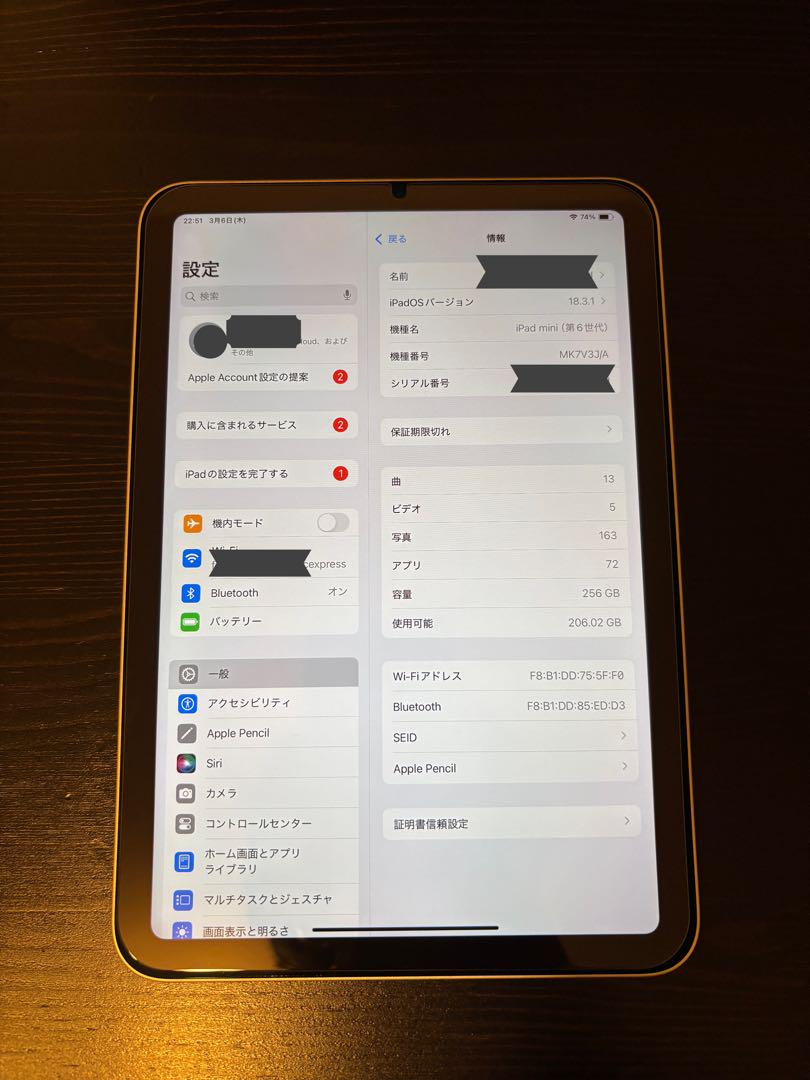 iPad mini
