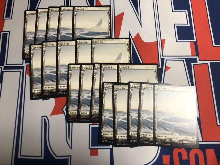 MTG 冠雪の平地 20枚セット