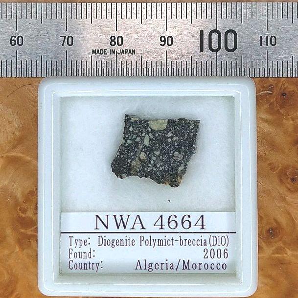 満点の NWA4664隕石標本 綺麗なダイオジェナイト - アンティーク オンライン小売店 綺麗なダイオジェナイト NWA4664隕石標本 アンティーク/コレクション