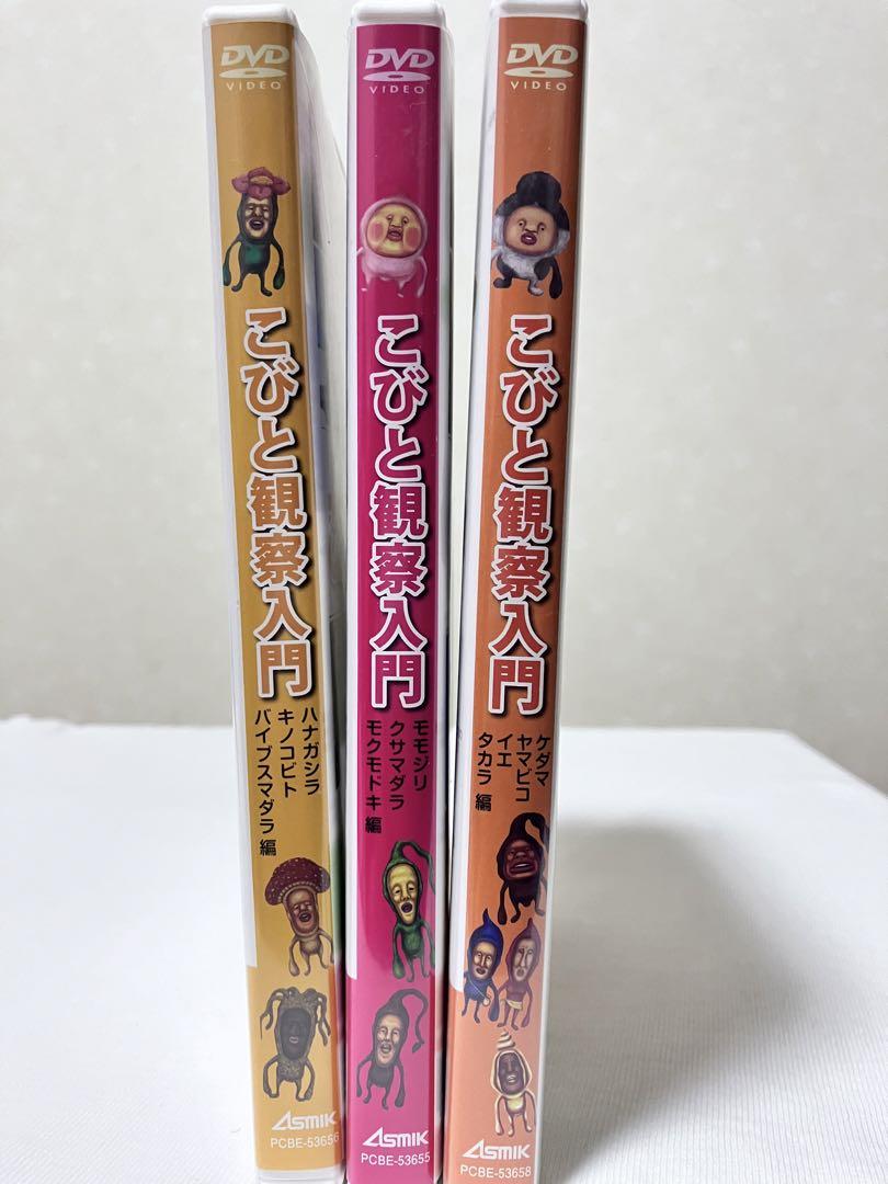 こびとづかん 観察入門 DVD 3つセット こびと図鑑 こびと図鑑