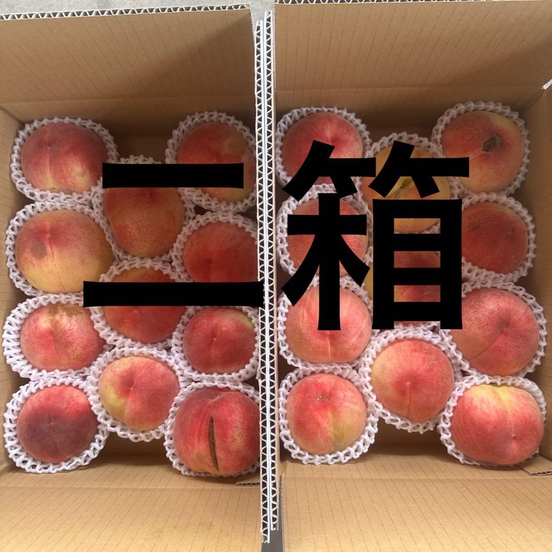 超訳あり