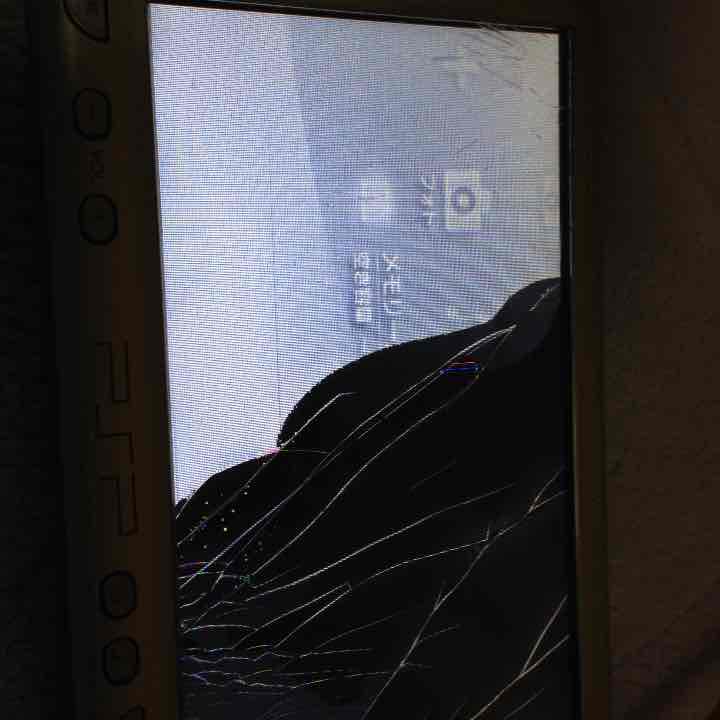 PSP1000