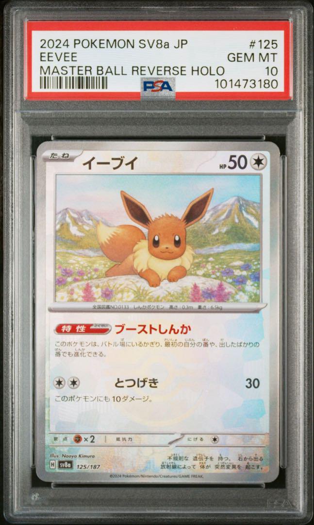 ブイズ