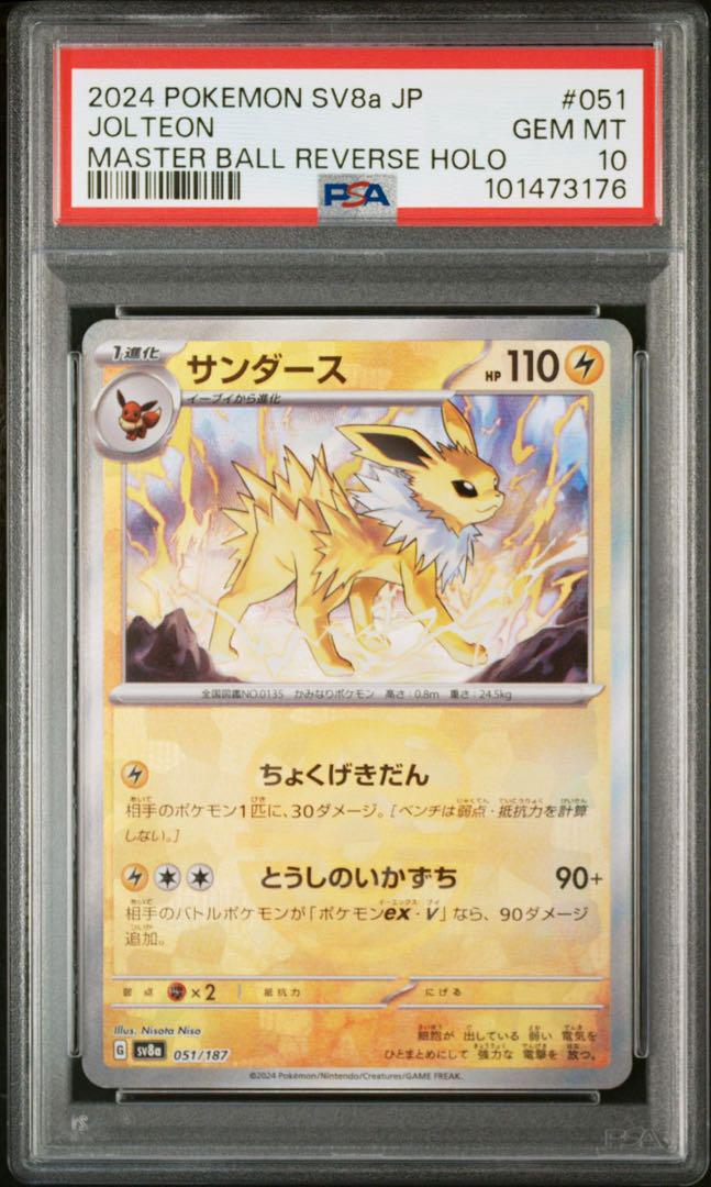 テラスタルフェス