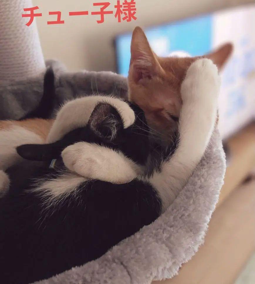 チュー子様 リクエスト 2点 まとめ商品