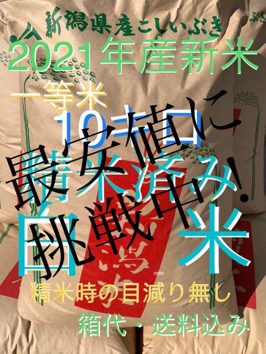 精米済み 10キロ 新潟県産 こしいぶき 2021年産 新米 低温冷蔵庫保存 - メルカリ 精米済み 10キロ 新潟県産 こしいぶき 2021年産 新米 低温冷蔵庫保存 - メルカリ