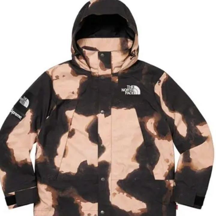 Supreme  The North Face Mountain Jacket