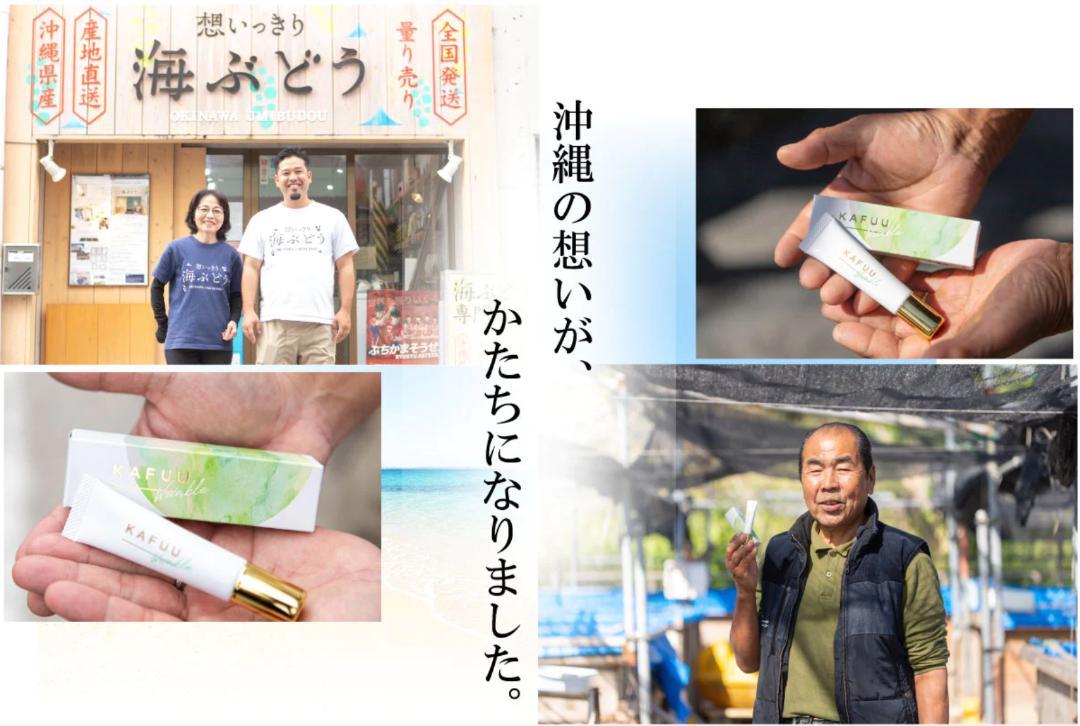 【お得な3本セット｜特別価格】シワ改善リンクルケアクリーム 沖縄コスメ 15g