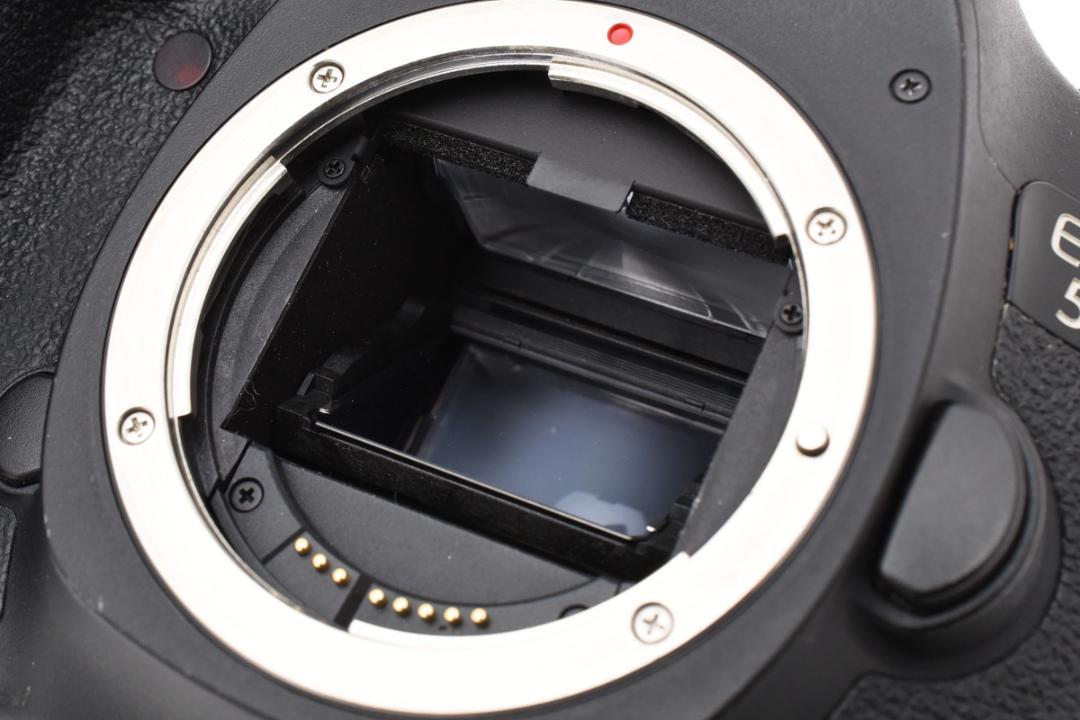 5D
