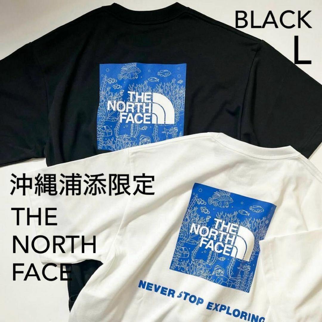 【沖縄浦添限定】L THE NORTH FACE 半袖Tシャツ 黒 ブラック