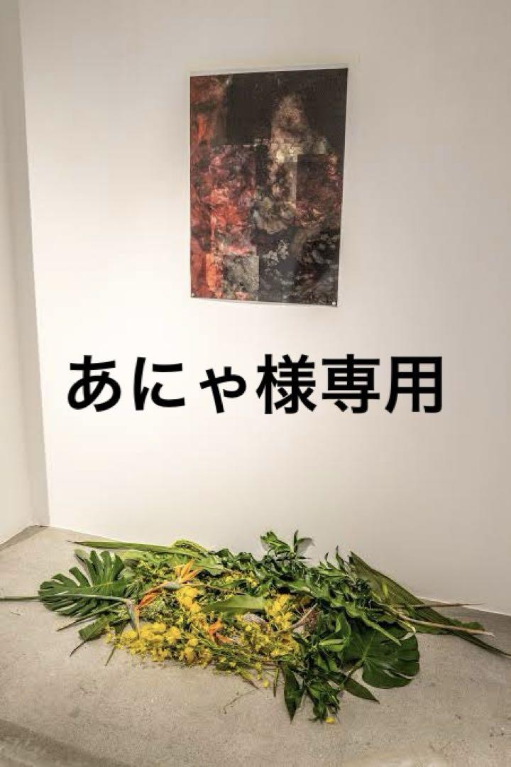 あにゃ様専用
