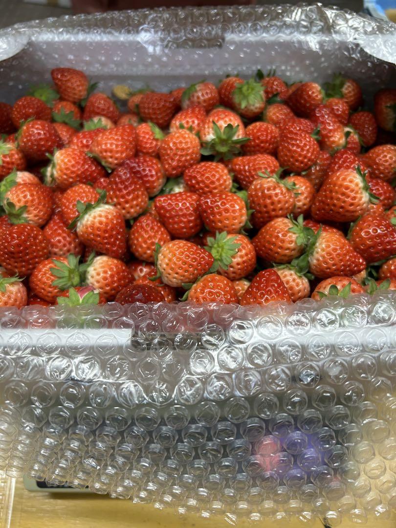 佐賀県産　大容量小粒いちご4kg