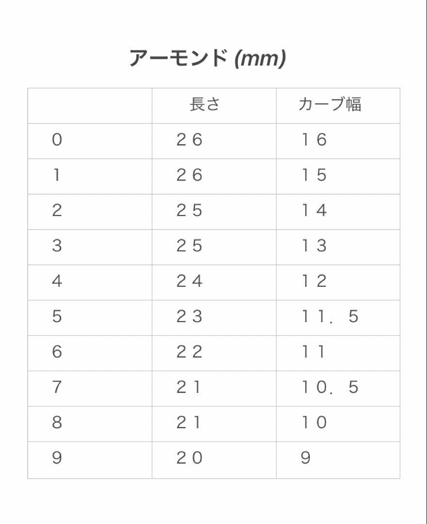 ネイルチップ フレンチガーリー ホロフラワー リボン 薔薇