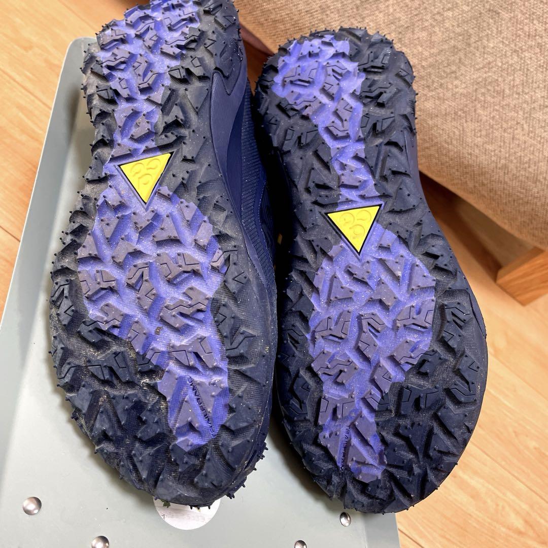 ナイキACGマウンテンフライ2LOW GORE-TEX 28.5cm