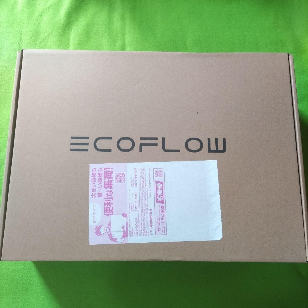 【新品未開封】EcoFlow DELTA 3 Series bag