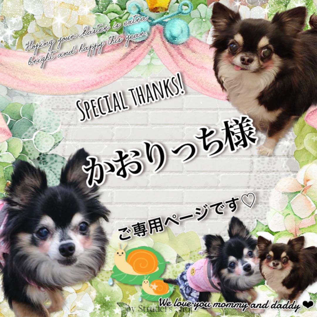 ◎かおりっち様ご専用ページです◎