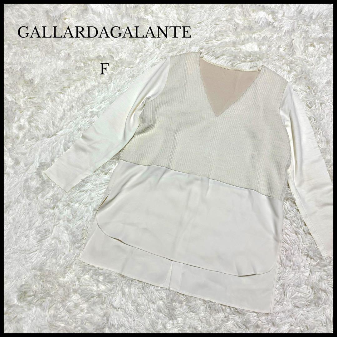 【GALLARDAGALANTE】 ガリャルダガランテ ニットブラウス F