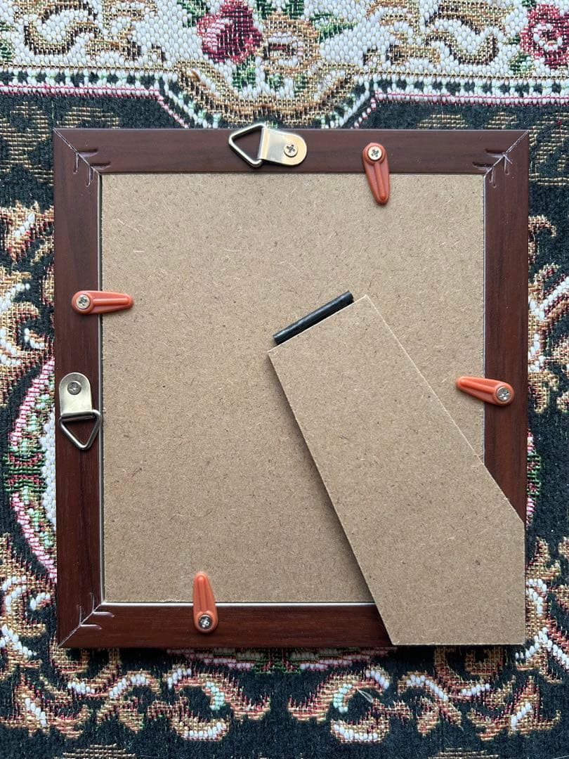 コンゴウインコ　ペン画 　原画　ミニ色紙　木製フレーム付 コンゴウインコ ペン画 原画 ミニ色紙 木製フレーム付