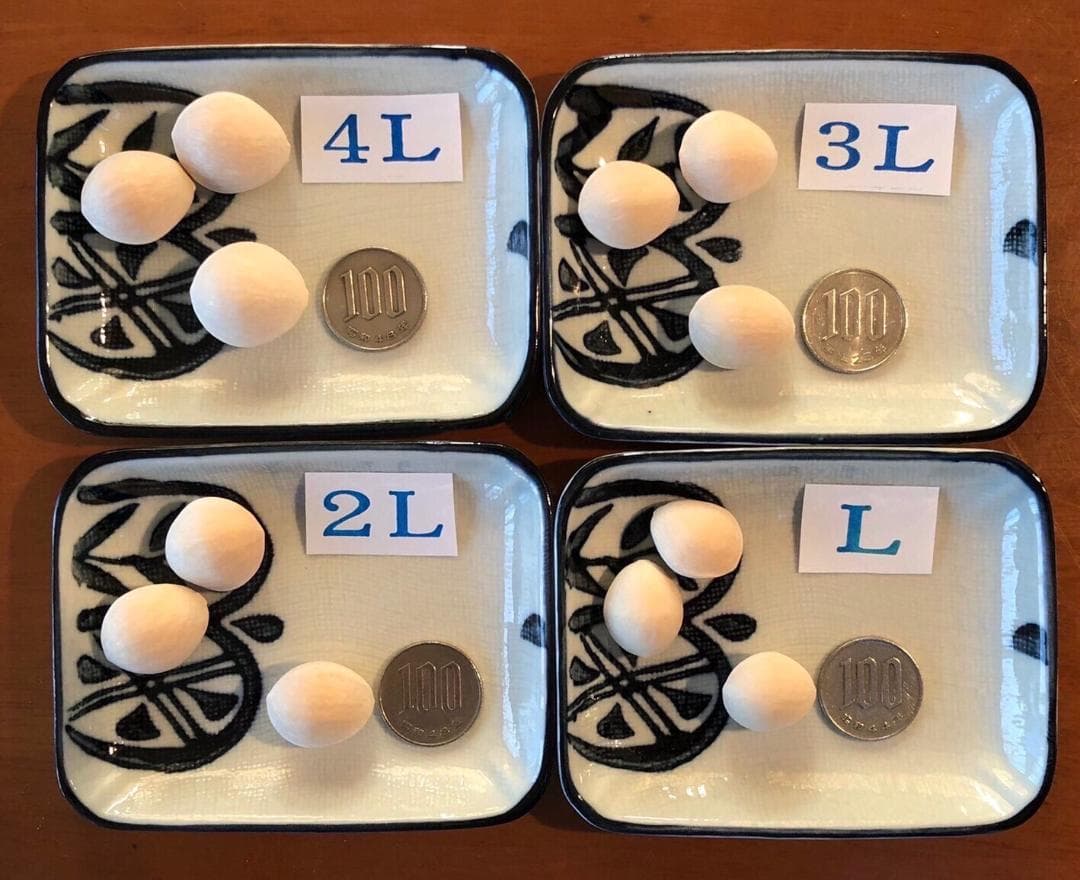 2025年新物 久寿 銀杏 ぎんなん 祖父江産 3L 8kg