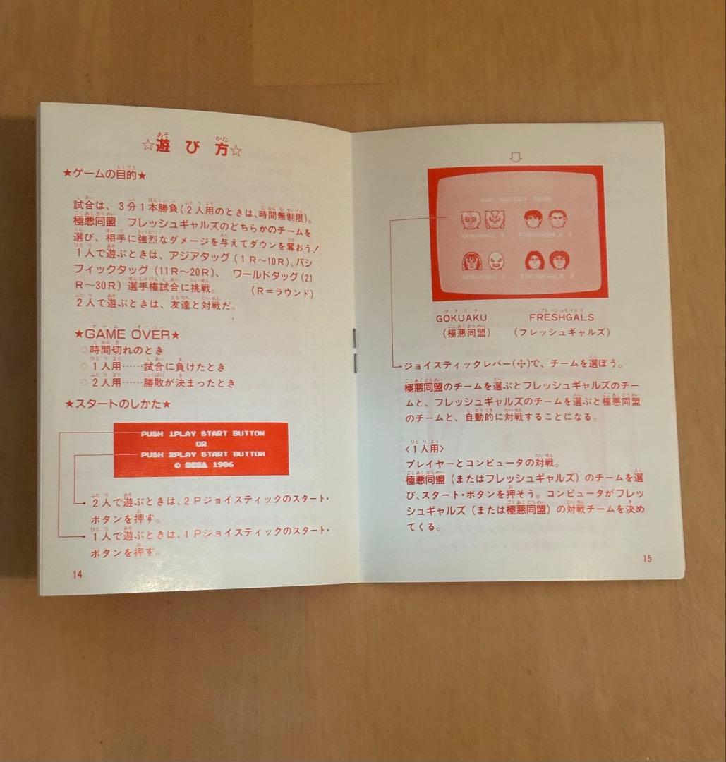 極悪同盟　ダンプ松本　セガマークⅢ