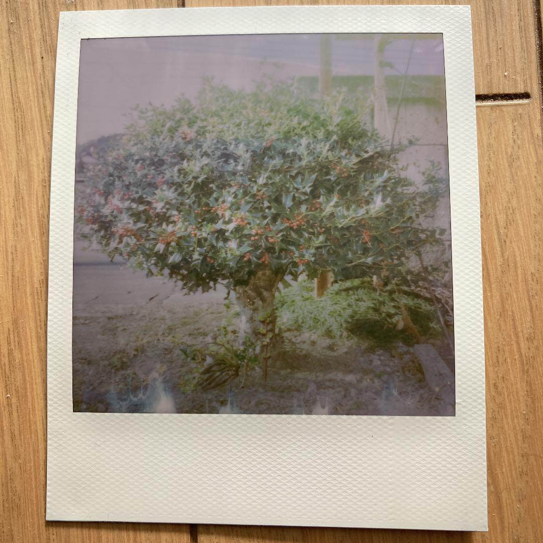 正規品お得 動作確認済み Polaroid 690 ポラロイド カメラ K5Mx0-m14498911570 超激得好評