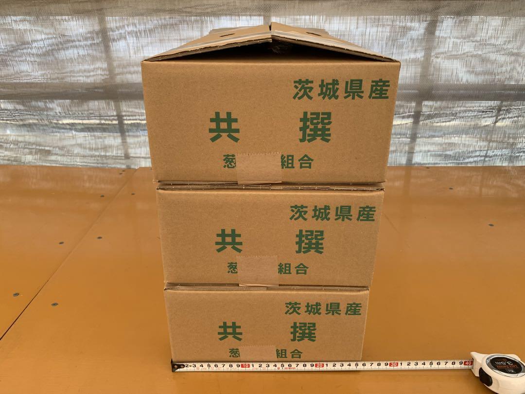 茨城県産 長ネギ 15キロ (5キロ×3箱)