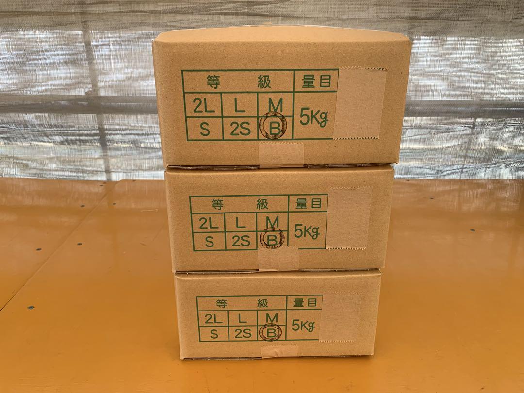 茨城県産 長ネギ 15キロ (5キロ×3箱)
