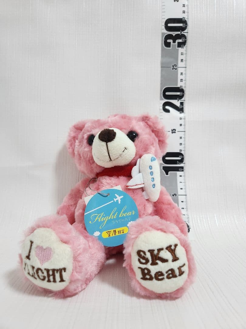 ご当地ベア　フライトベア