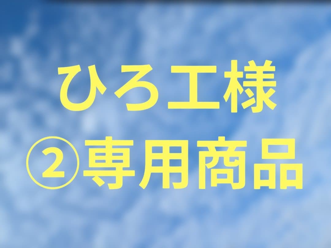 ひろ工様②専用商品