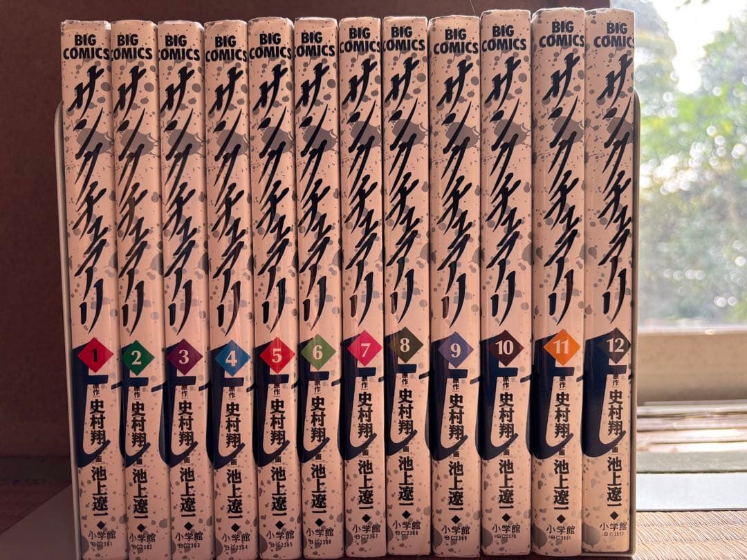 サンクチュアリ 全巻　文庫本