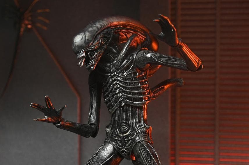 NECA