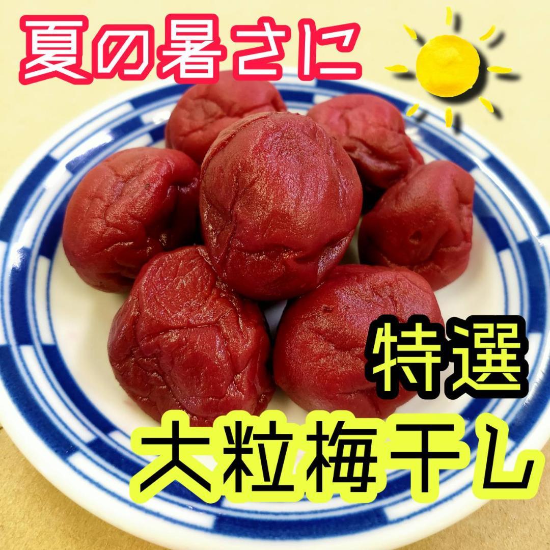 人気no 1 大粒梅干し 400g 自然栽培 昔ながら しょっぱい アジル Www Anavara Com