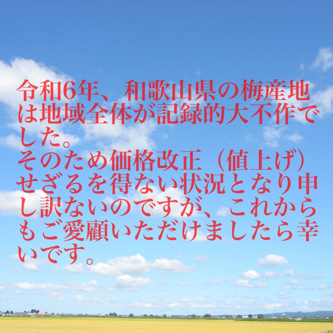 LL 紀州南高梅 訳あり 梅と天日塩だけで漬けた梅干し 4kg つぶれ梅 白干し