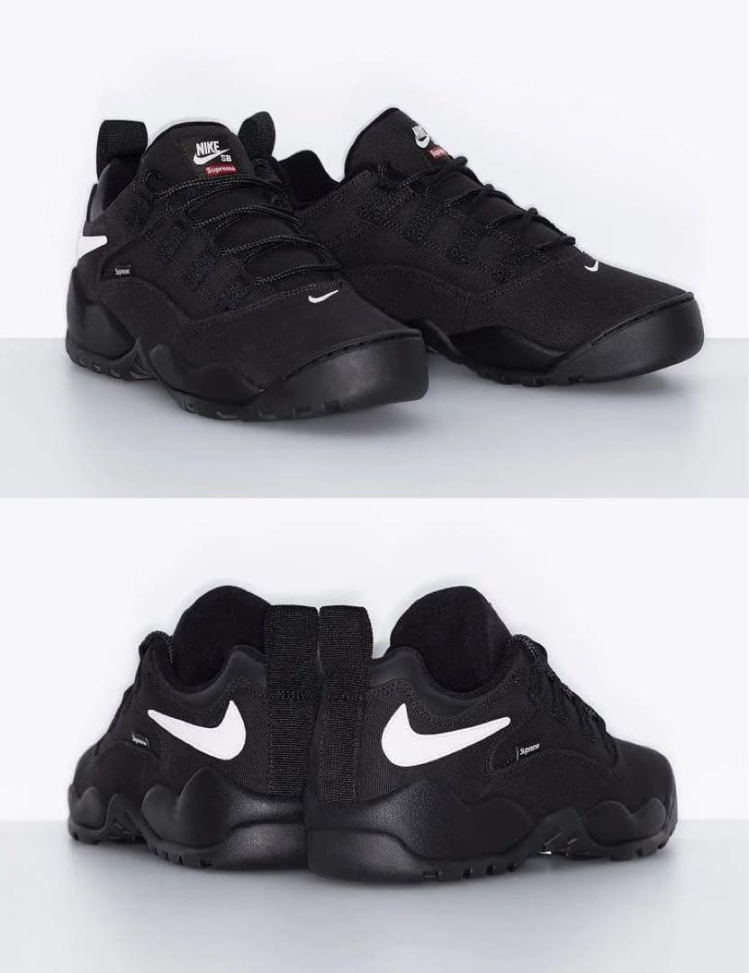 26cm 黒 Supreme Nike SB Darwin Low Black 画像5