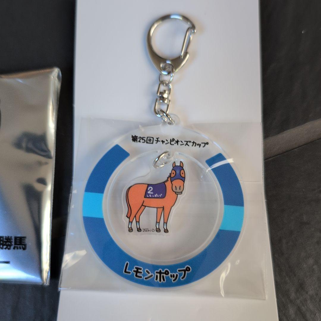 JRA Welcomeチャンス！特別版 キーホルダー JRA welcome チャンス 特別版 2025年 東京競馬場 キーホルダー